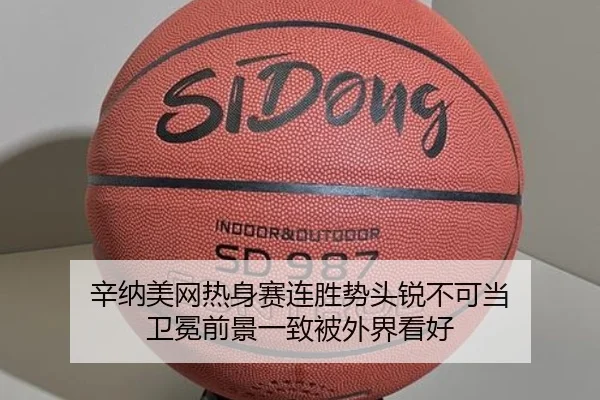 xin-na-mei-wang-re-shen-sai-lian-sheng-shi-tou-rui-bu-ke-dang-wei-mian-qian-jing-yi-zhi-bei-wai-jie-kan-hao-3-228.jpg