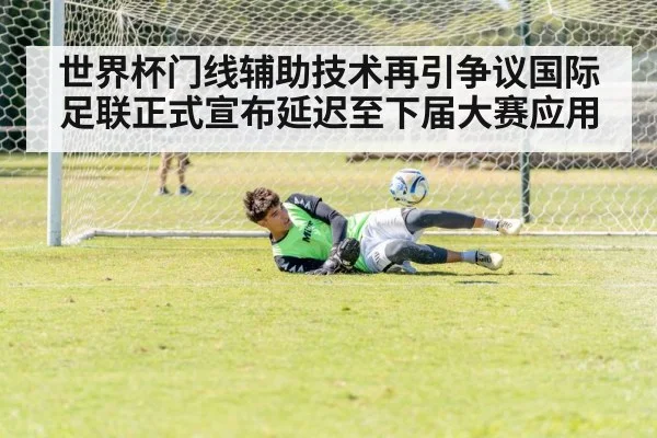 goal line technology